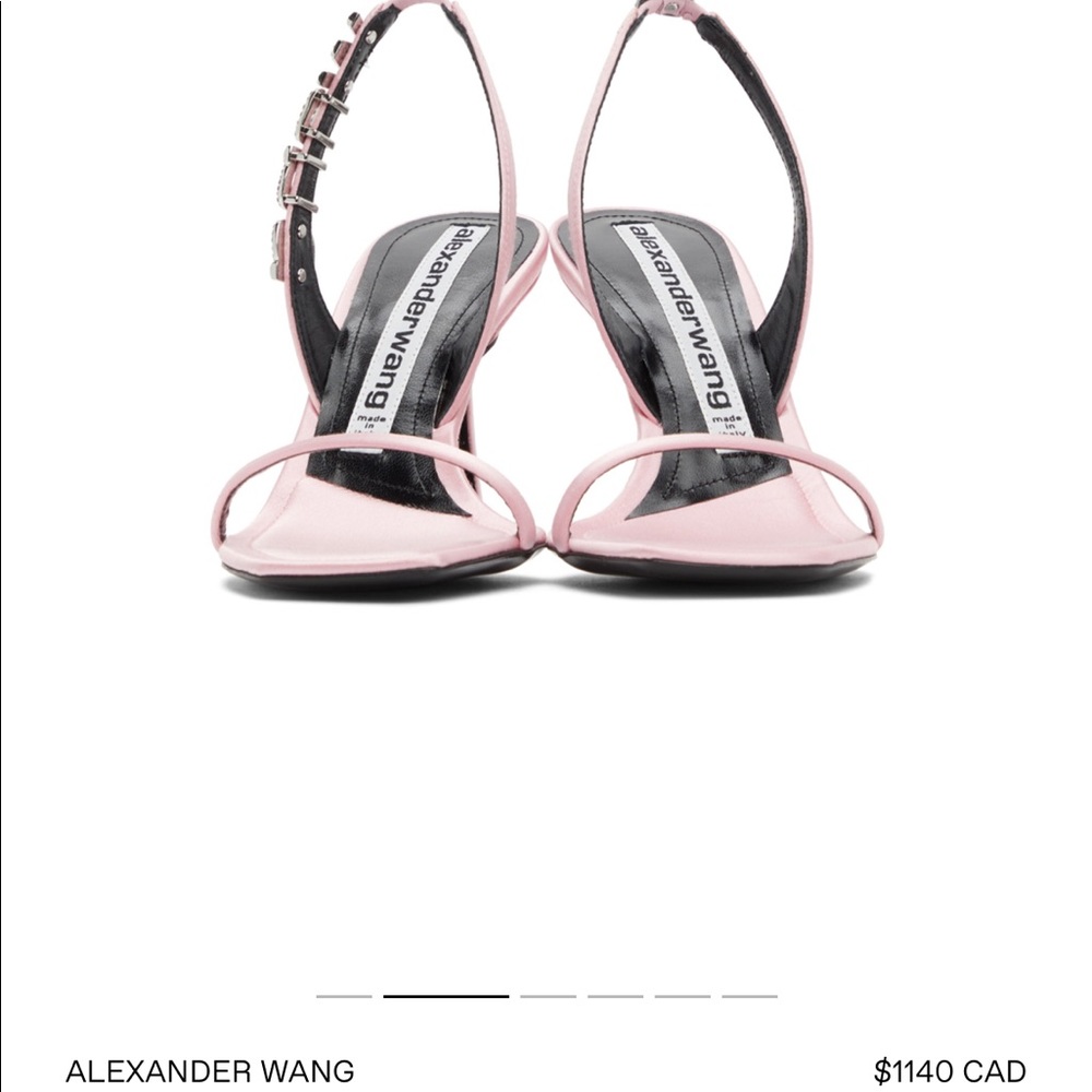 Brand new Alexander Wang Ivy Sandal Heel